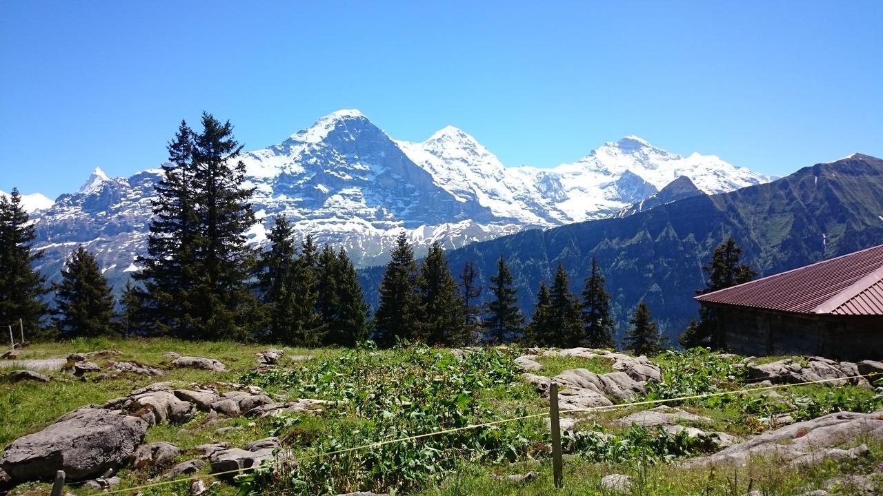 Готель Berghaus Hintisberg Lutschental Екстер'єр фото